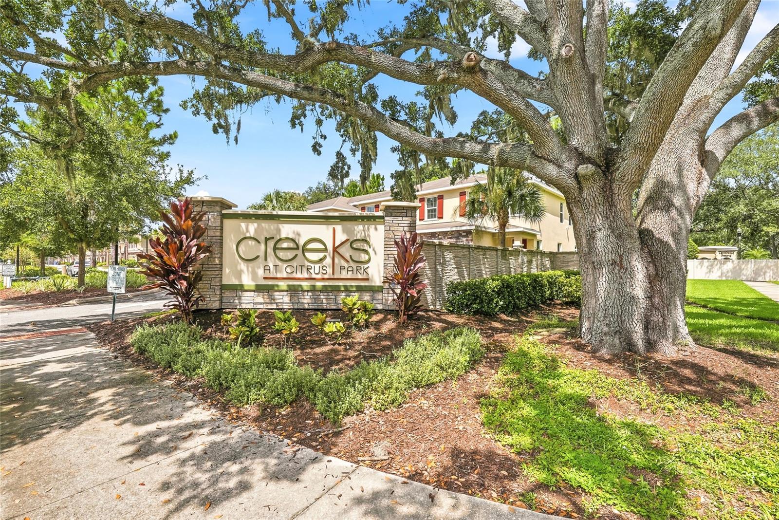 13105 CANOPY CREEK DR
