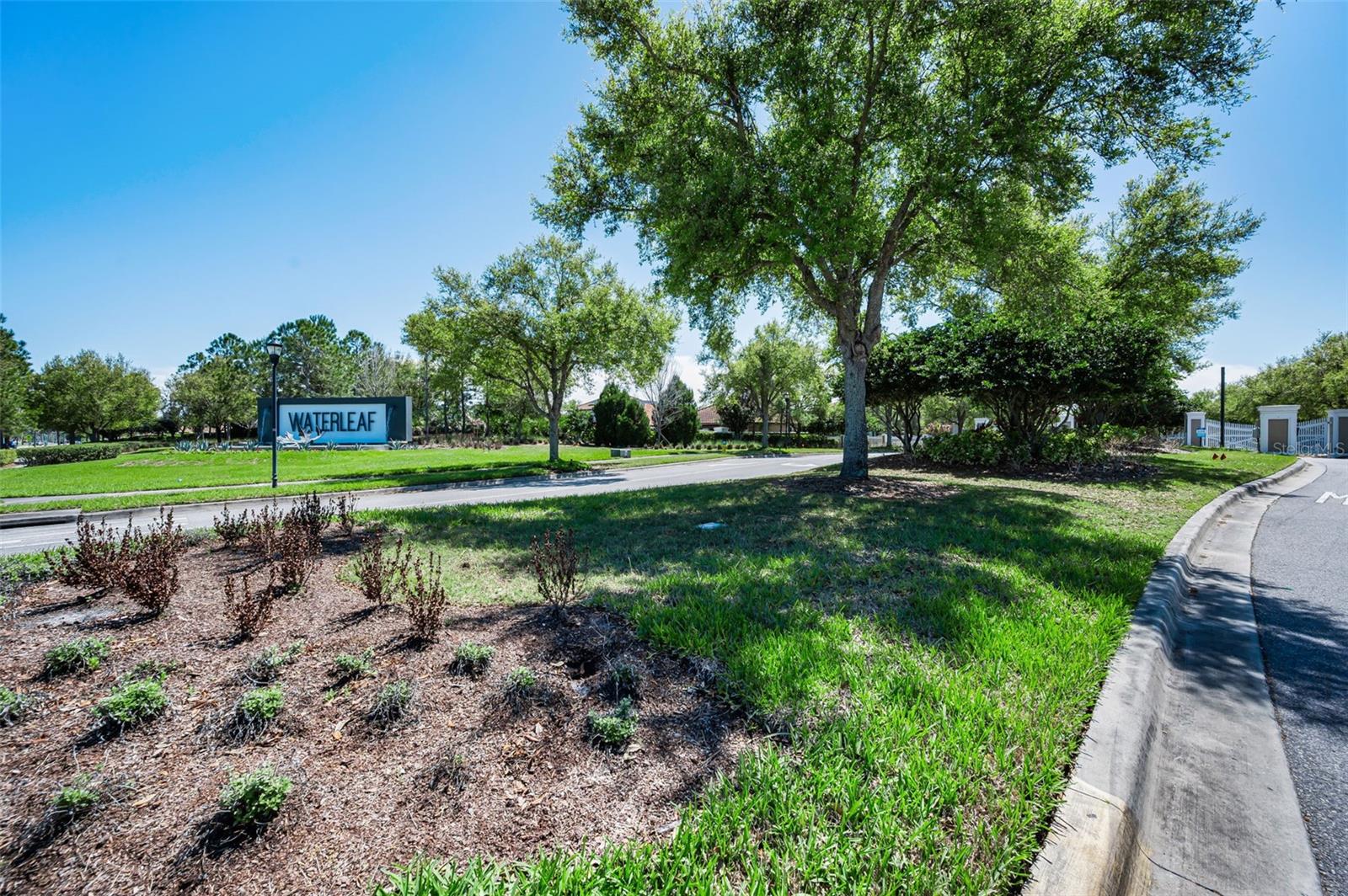 11923 CINNAMON FERN DR