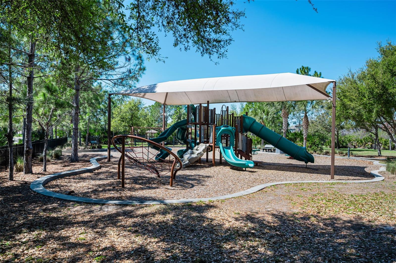 11923 CINNAMON FERN DR