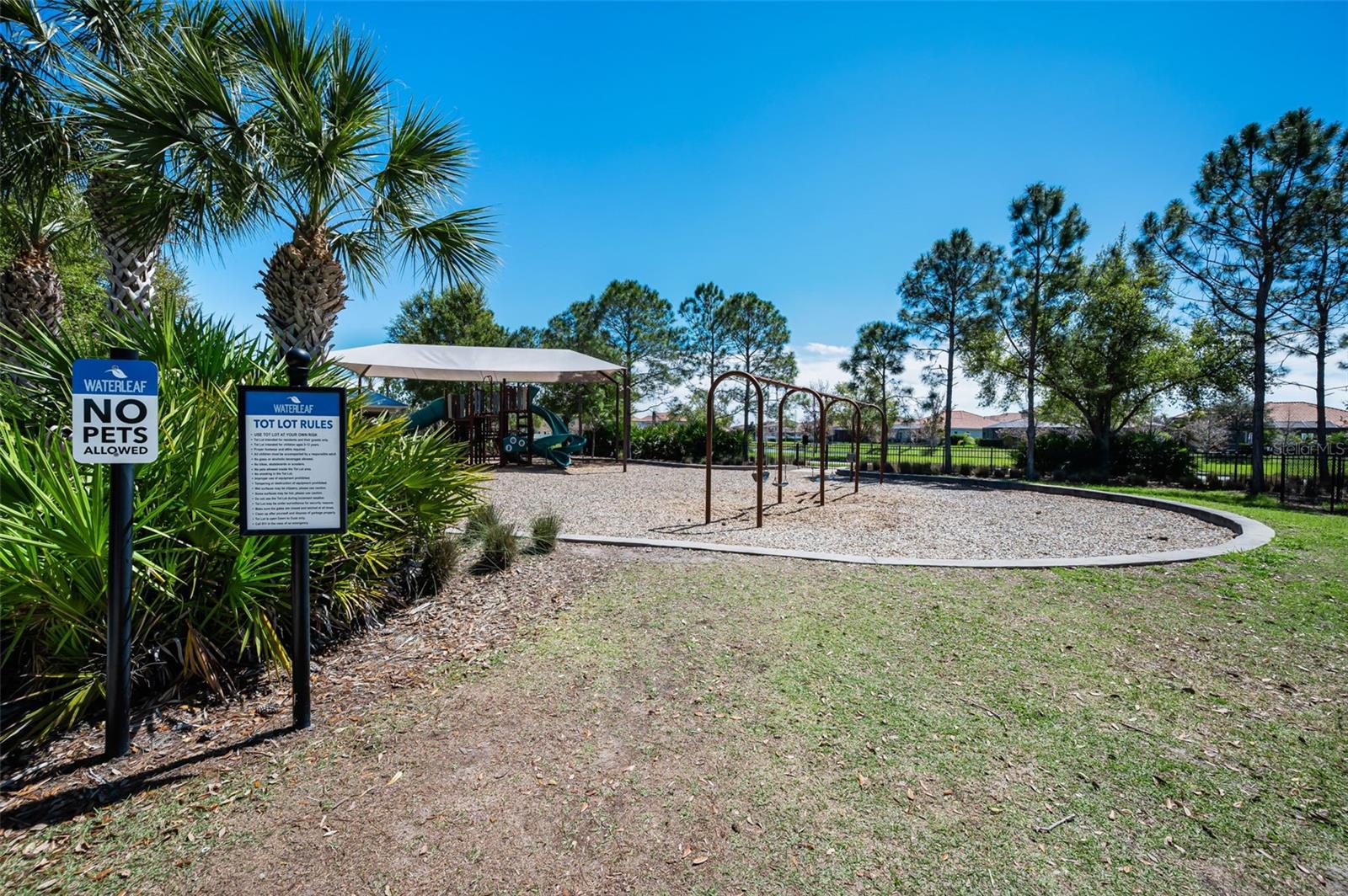 11923 CINNAMON FERN DR