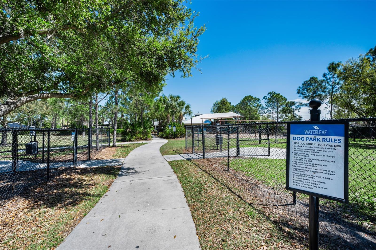 11923 CINNAMON FERN DR