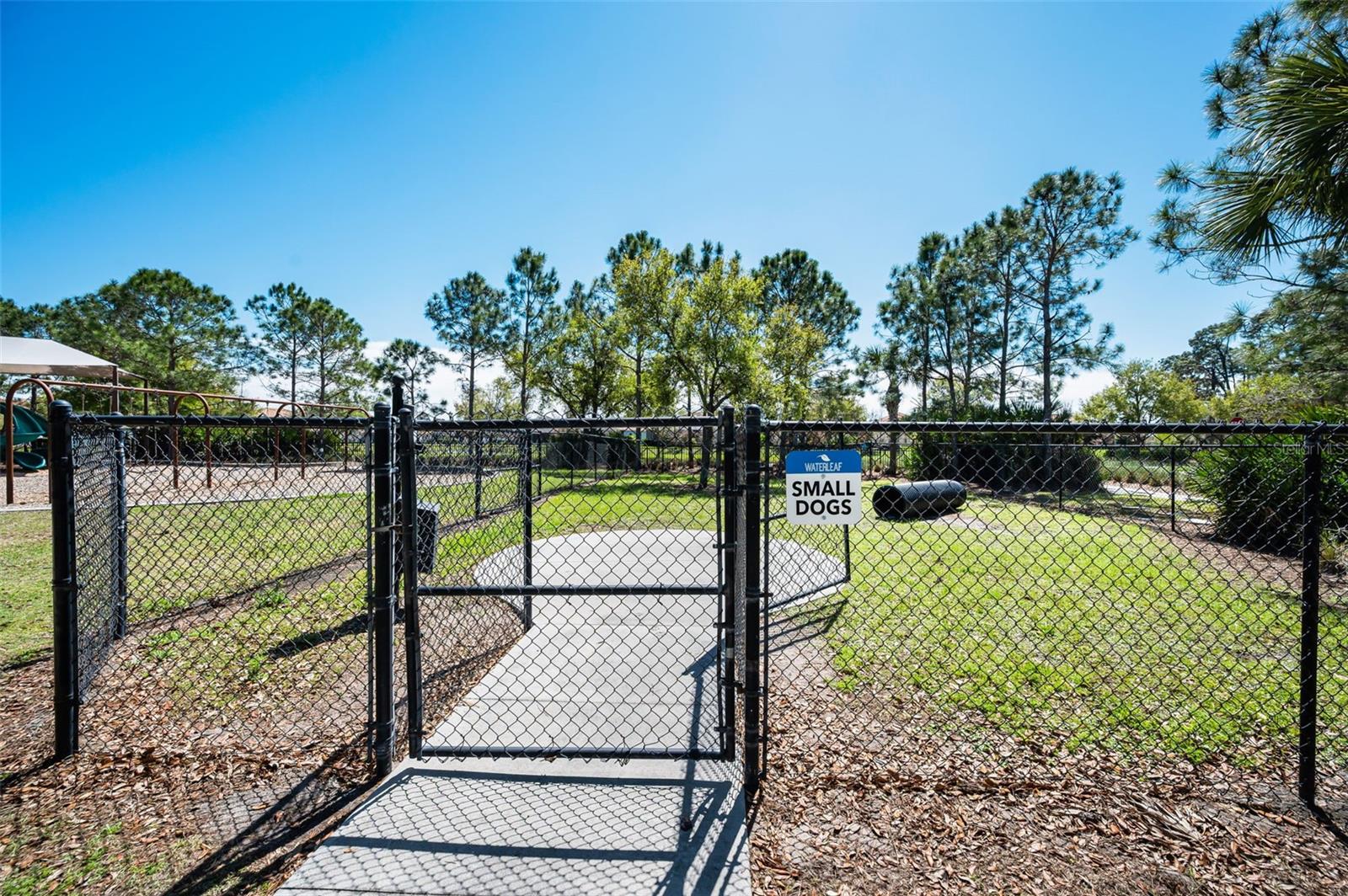 11923 CINNAMON FERN DR