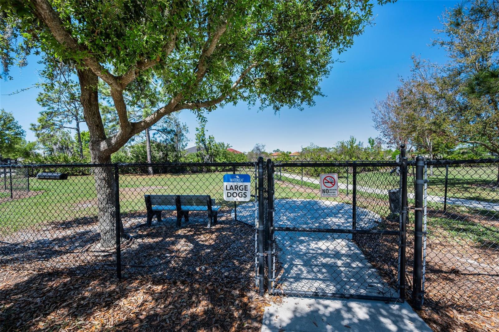 11923 CINNAMON FERN DR