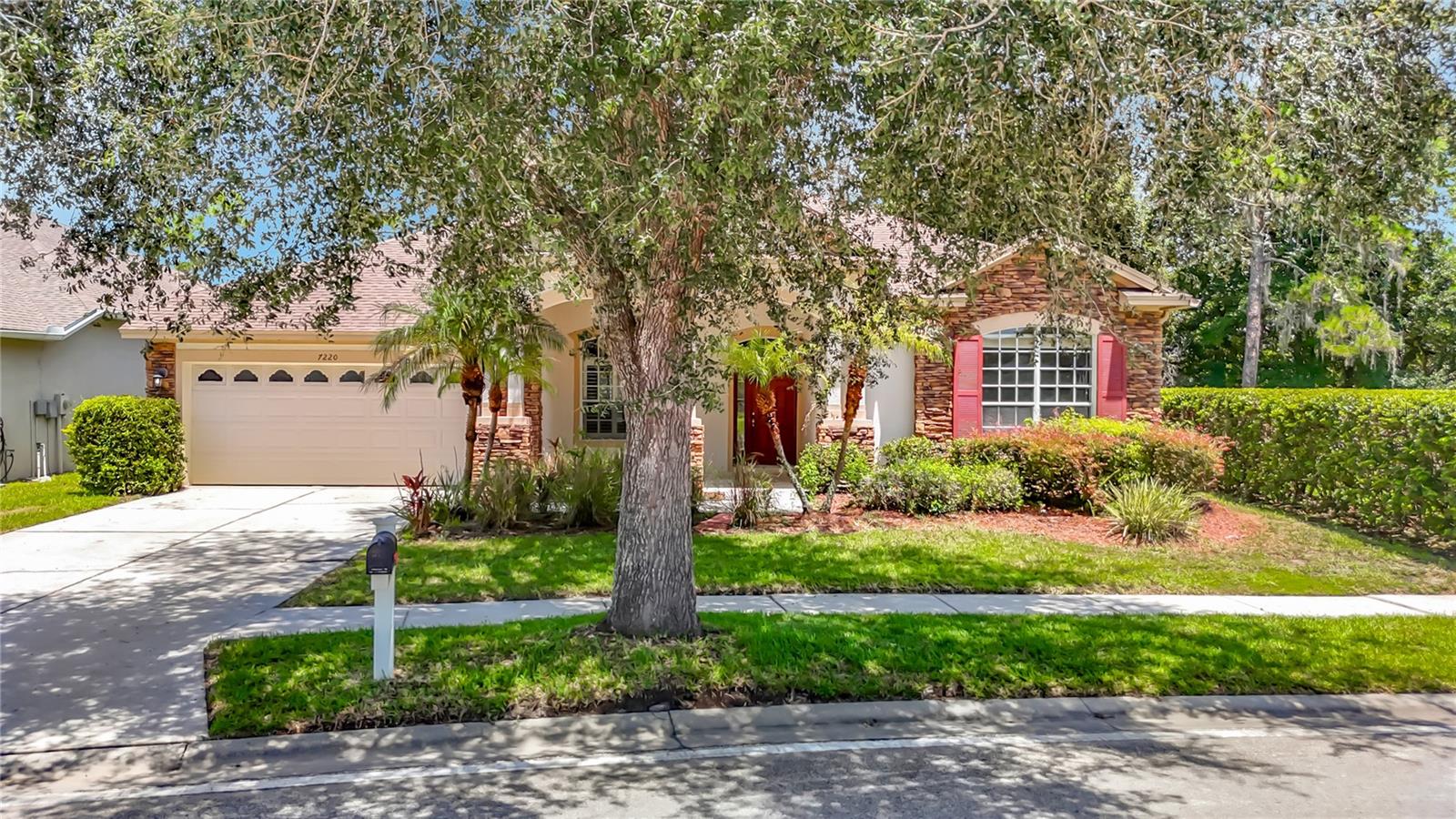 7220 Night Heron Dr, Land O Lakes
