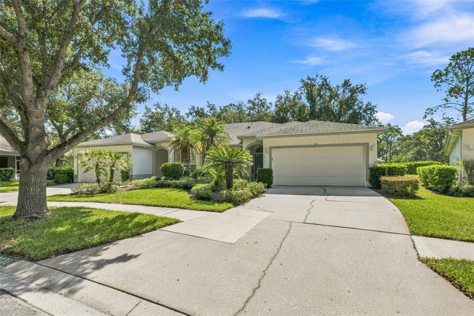 19031 Callaway Ct, Tampa