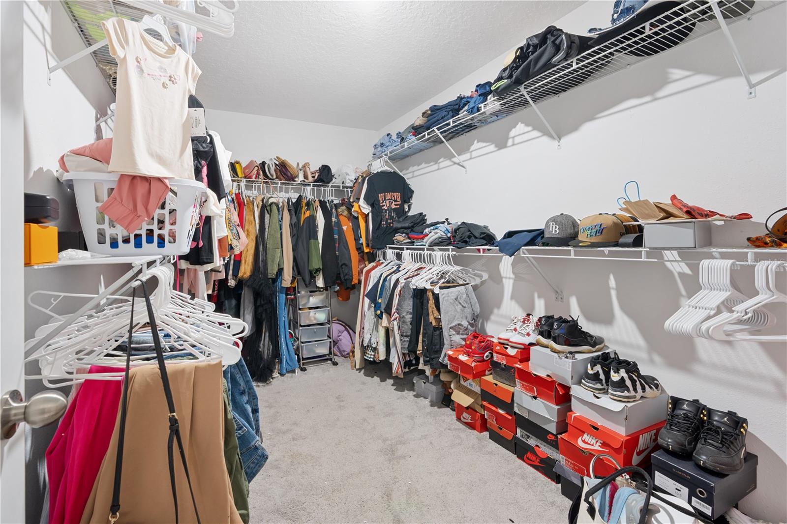 7420 PEARLY EVERLASTING AVE