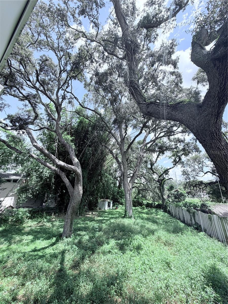 10801 N EDISON AVE