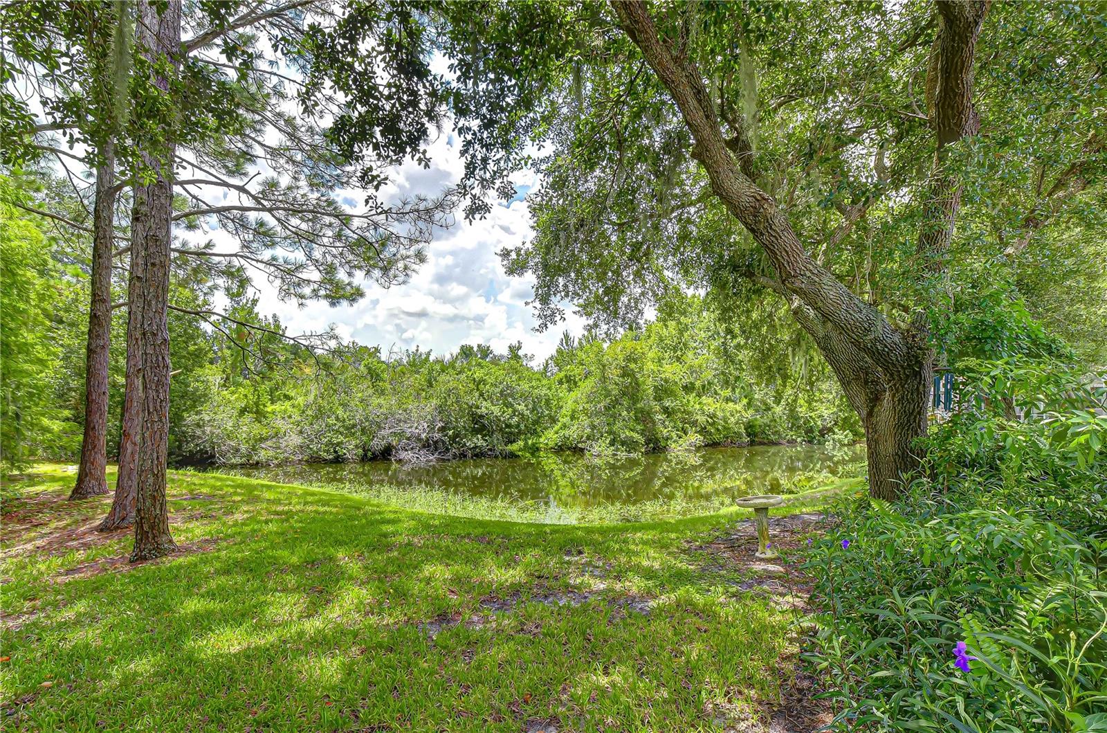 6026 SANDHILL RIDGE DR