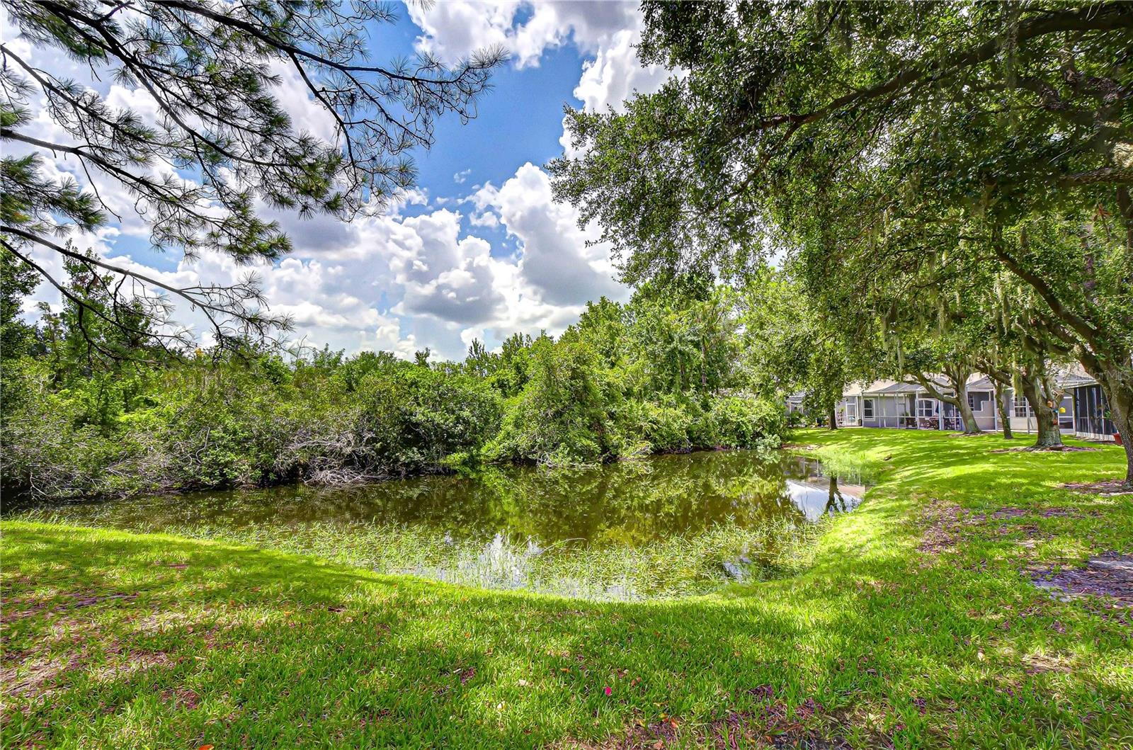 6026 SANDHILL RIDGE DR