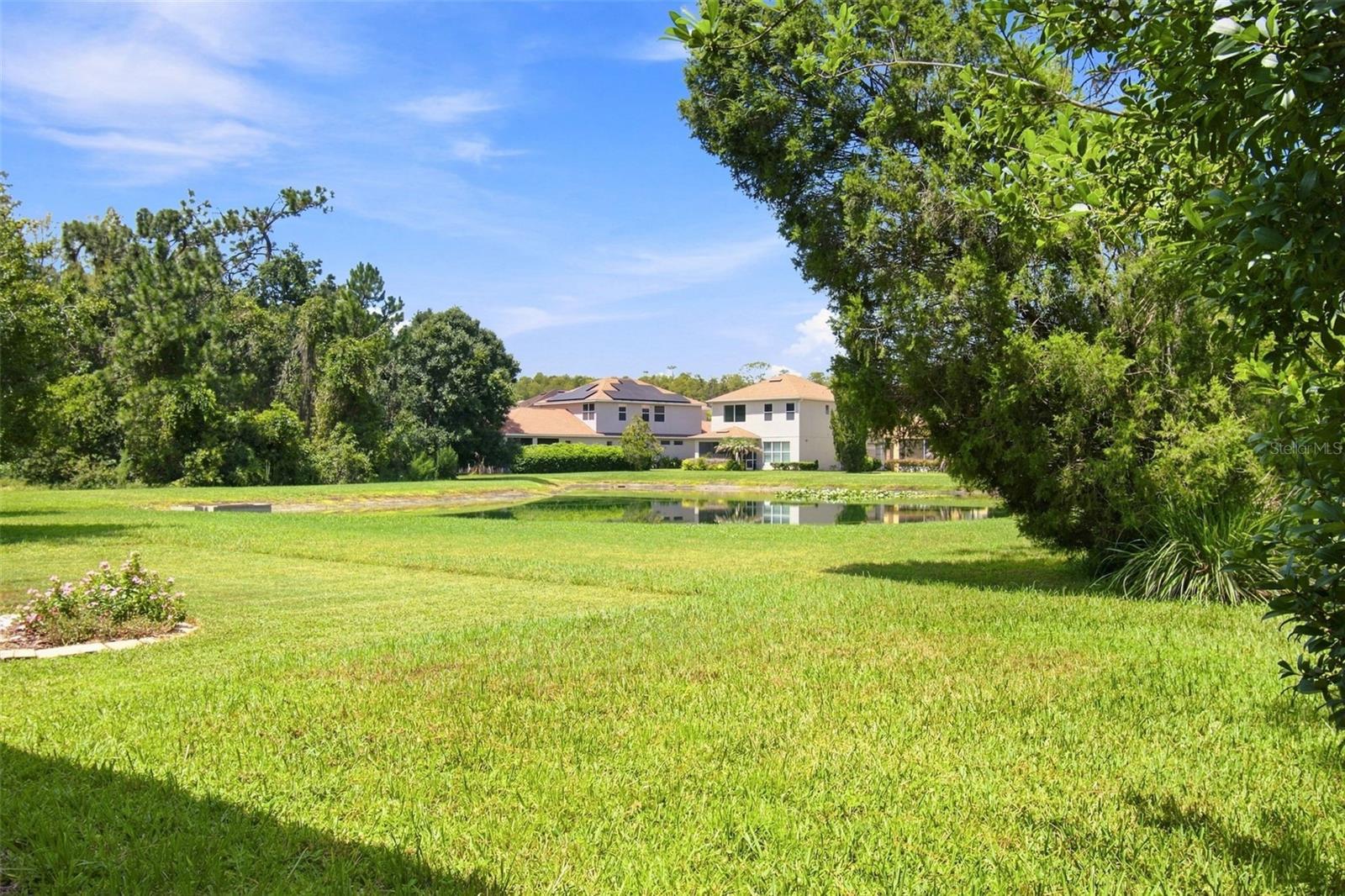 16065 BELLA WOODS DR
