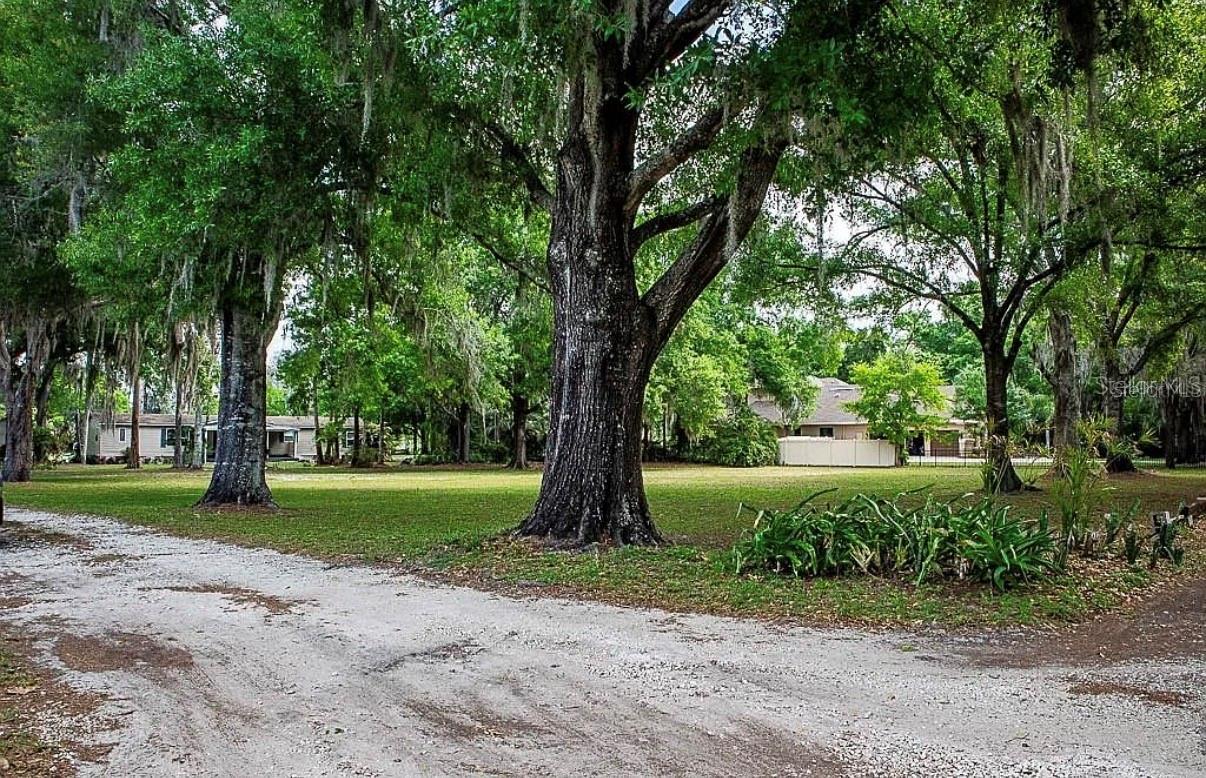 13815 PLAINVIEW RD #Lot 1