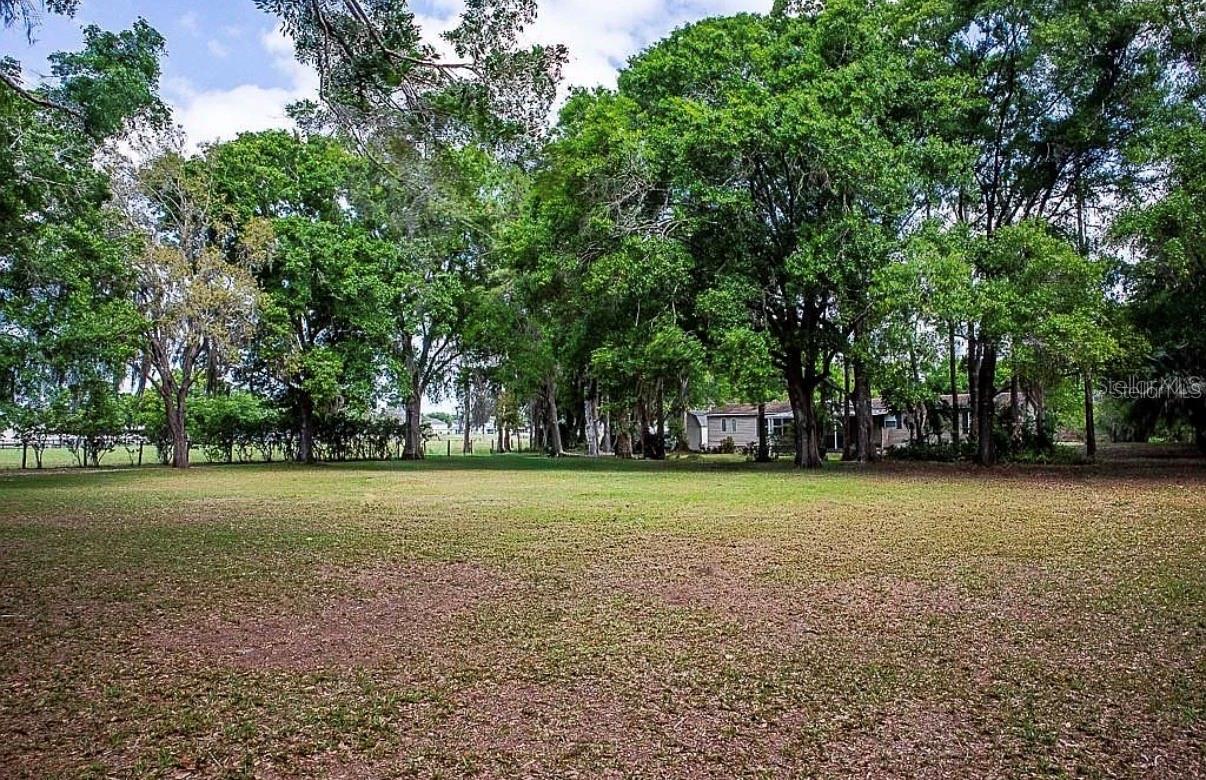 13815 PLAINVIEW RD #Lot 1