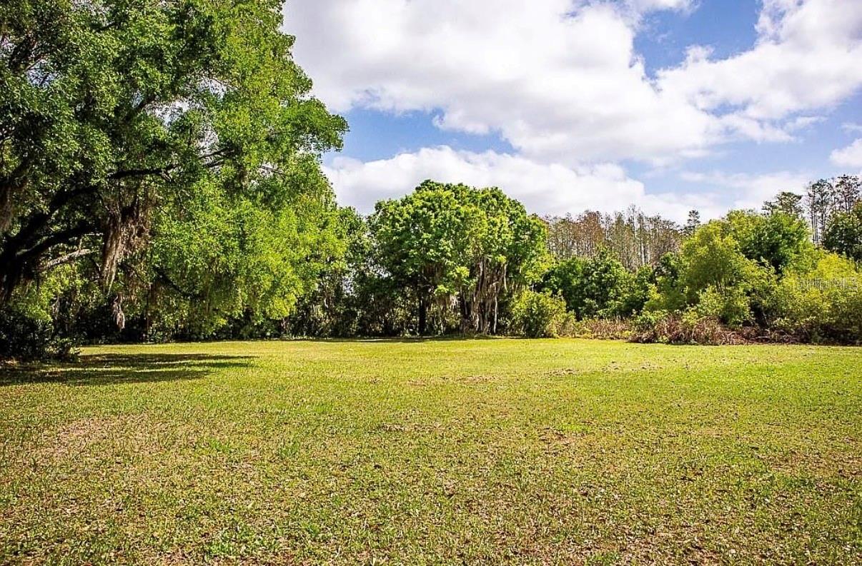 13815 PLAINVIEW RD #Lot 1