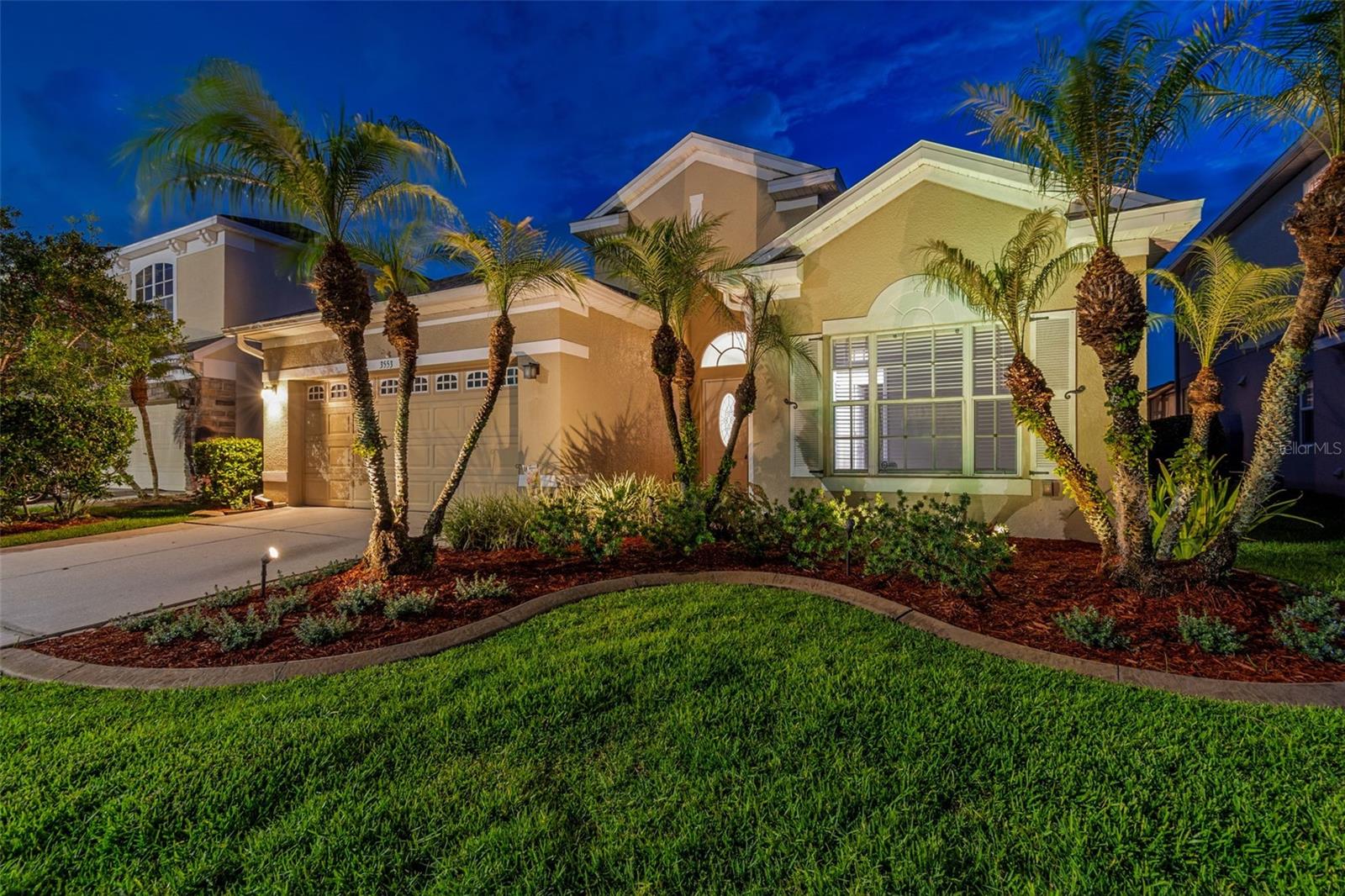 3553 Morgans Bluff Ct, Land O Lakes
