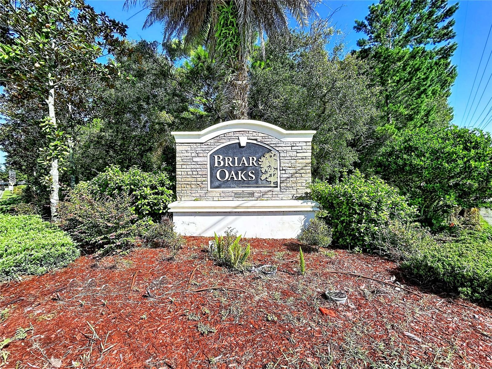 18607 BRIAR OAKS DR