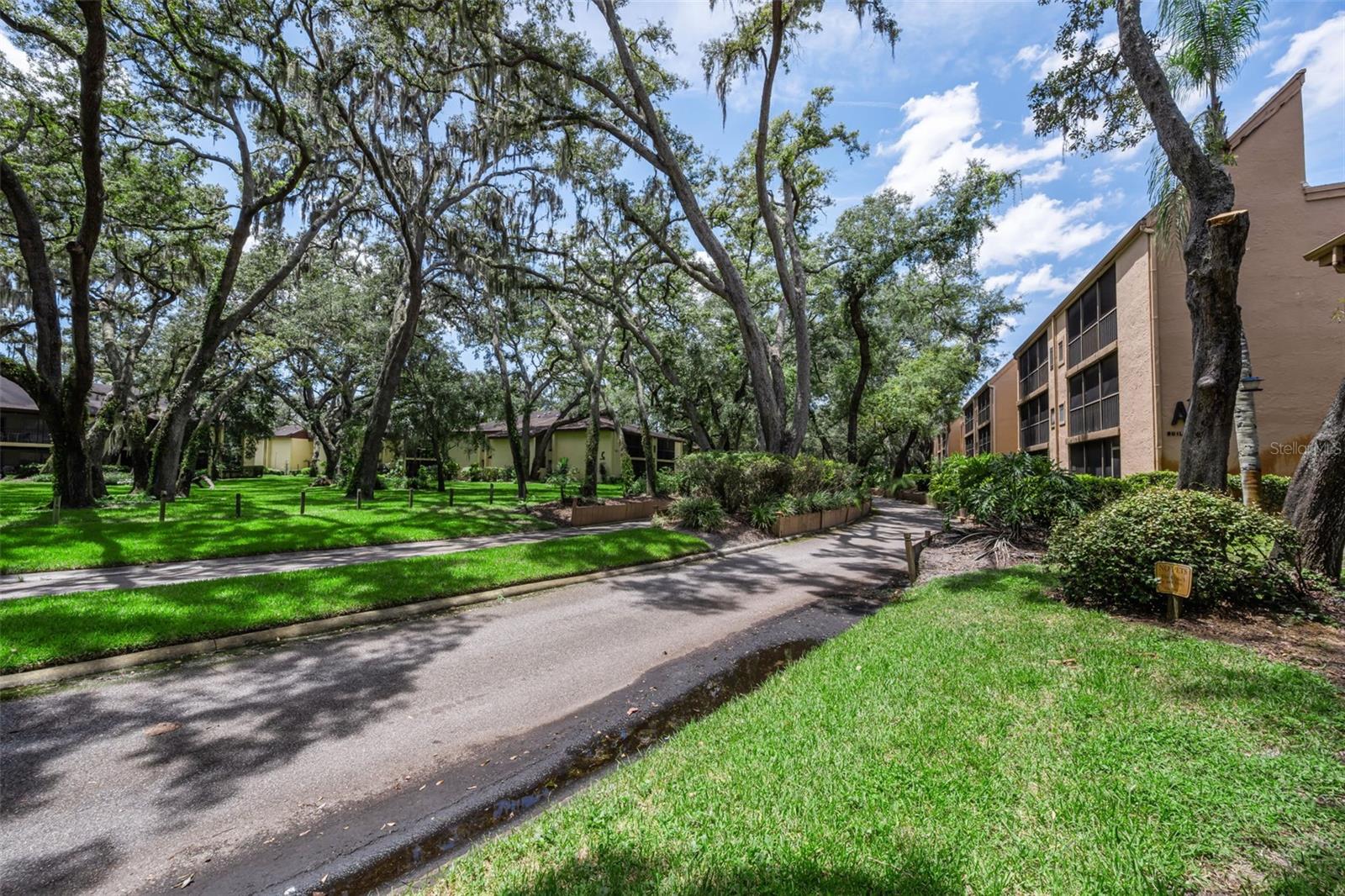 4411 SHADY TERRACE LN #115