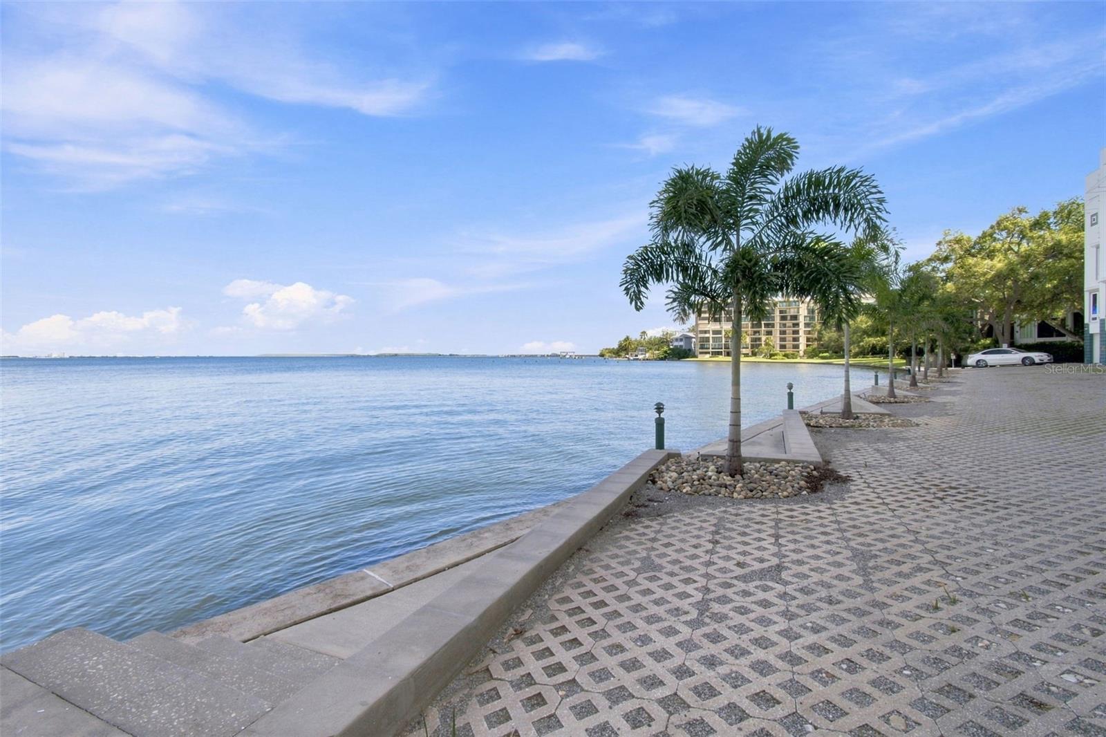 4950 BAYSHORE BLVD #8