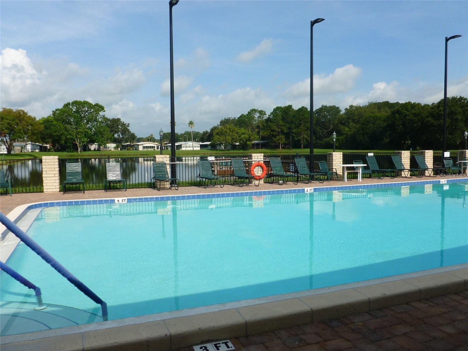 34145 BROWN BAYOU