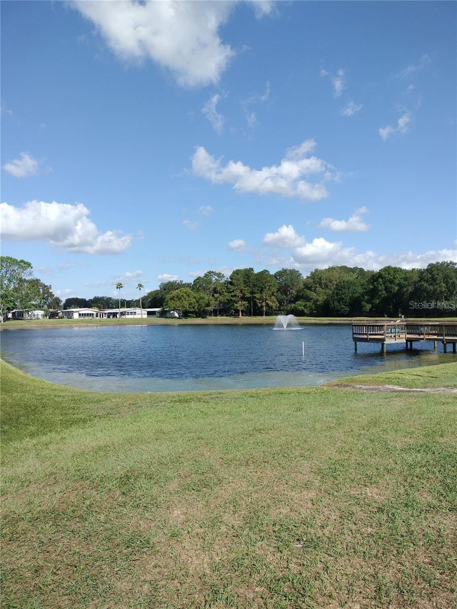 34145 BROWN BAYOU