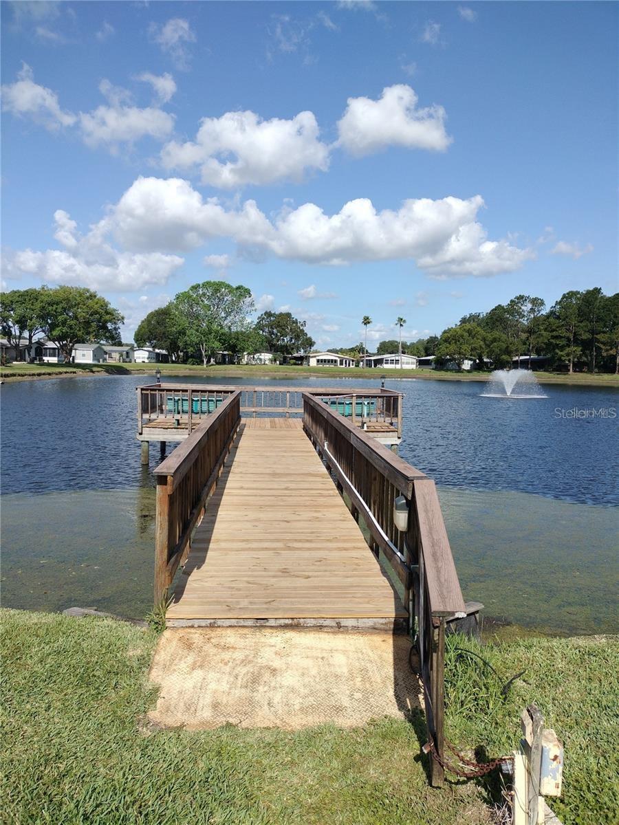 34145 BROWN BAYOU