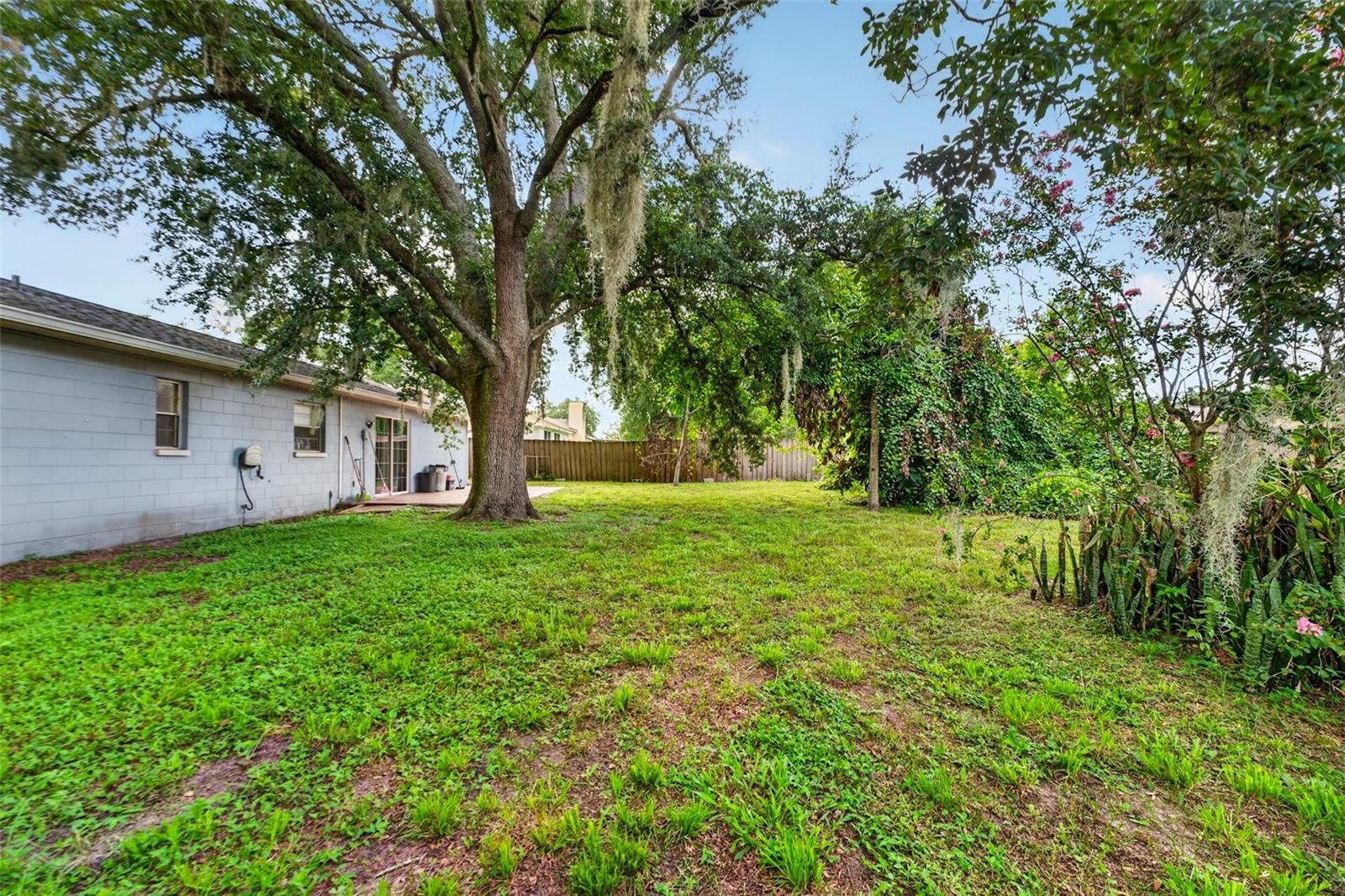 1917 CEDARBROOKE DR