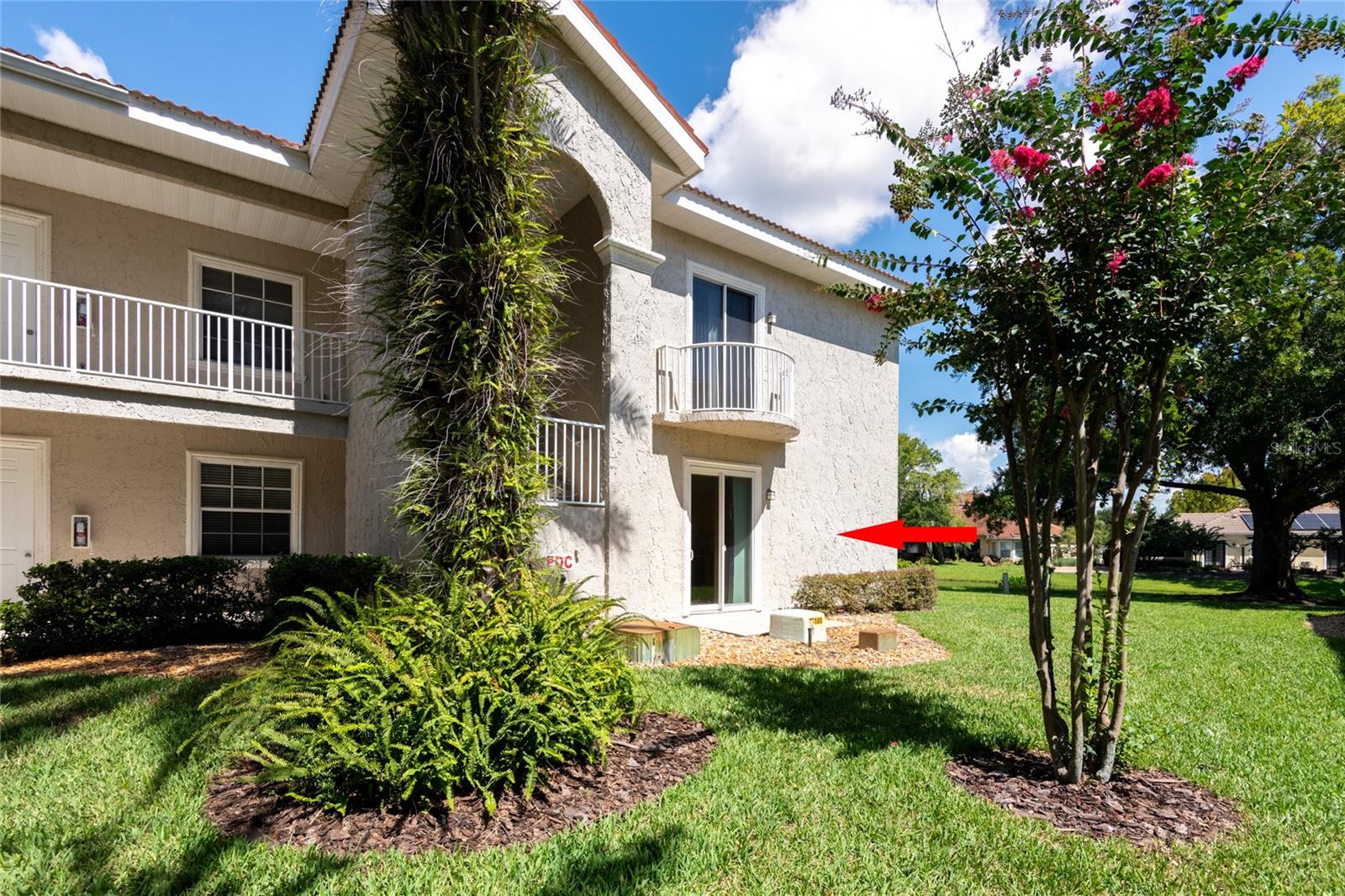 6815 Dali Ave #101, Land O Lakes