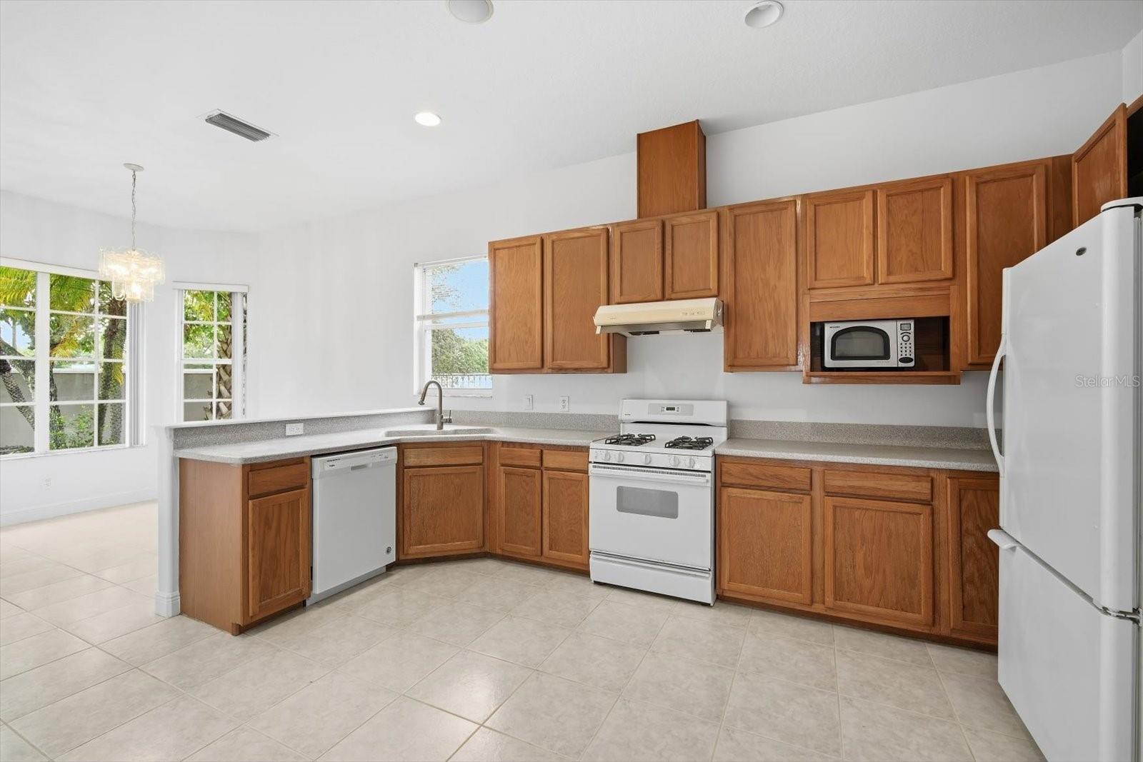 14902 DEVONSHIRE WOODS PL