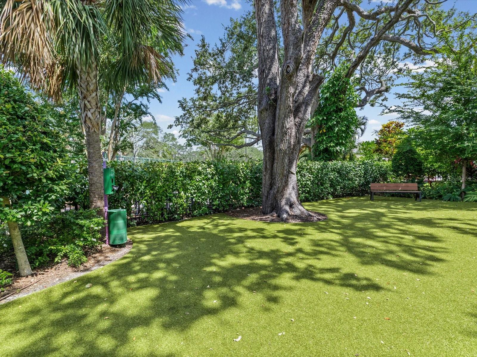 2619 BAYSHORE BLVD #900
