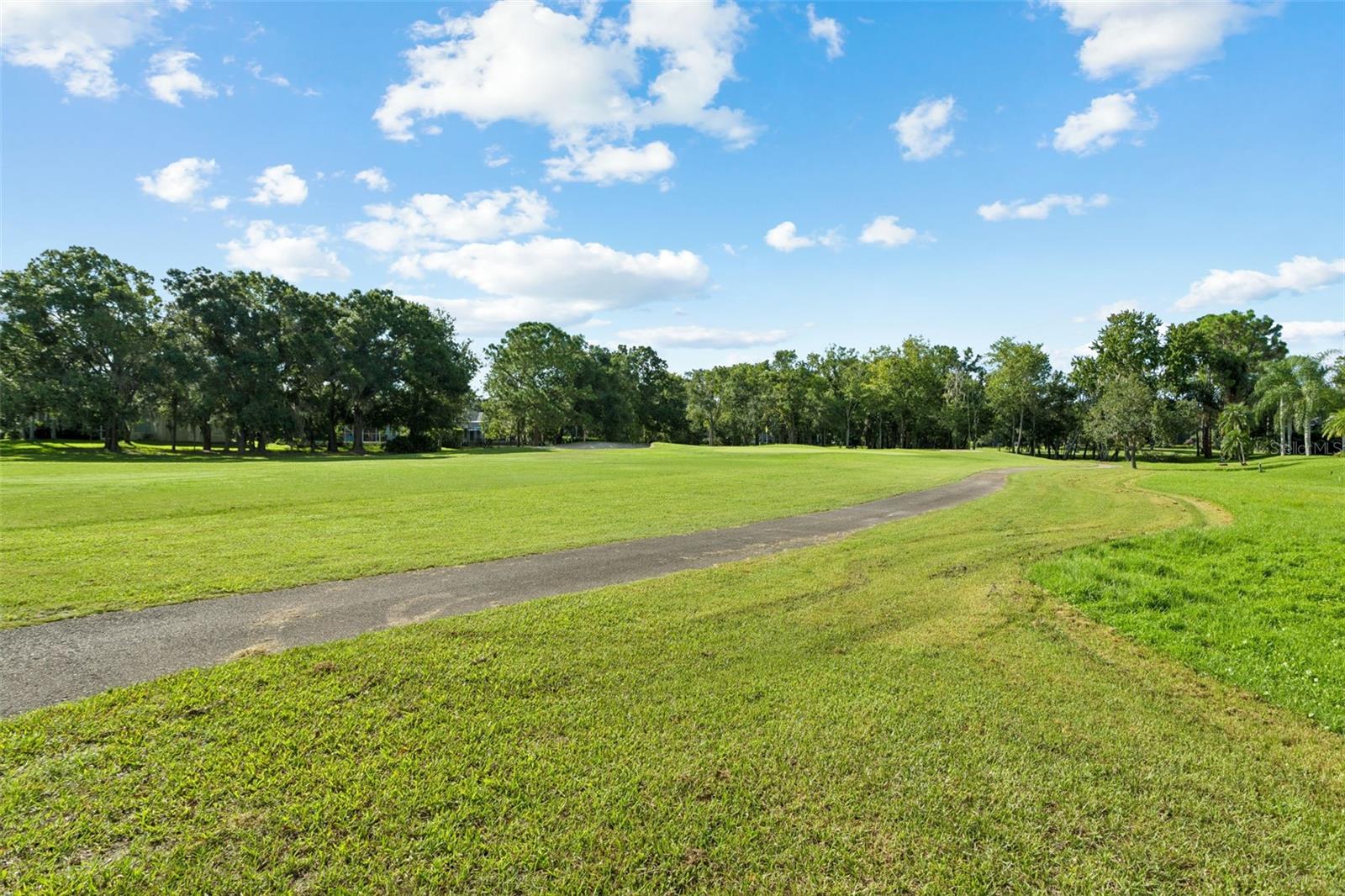 15611 SHOAL CREEK PL