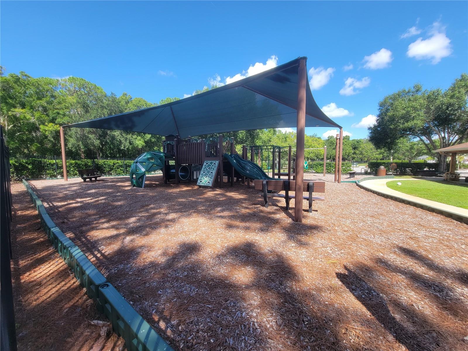 15611 SHOAL CREEK PL