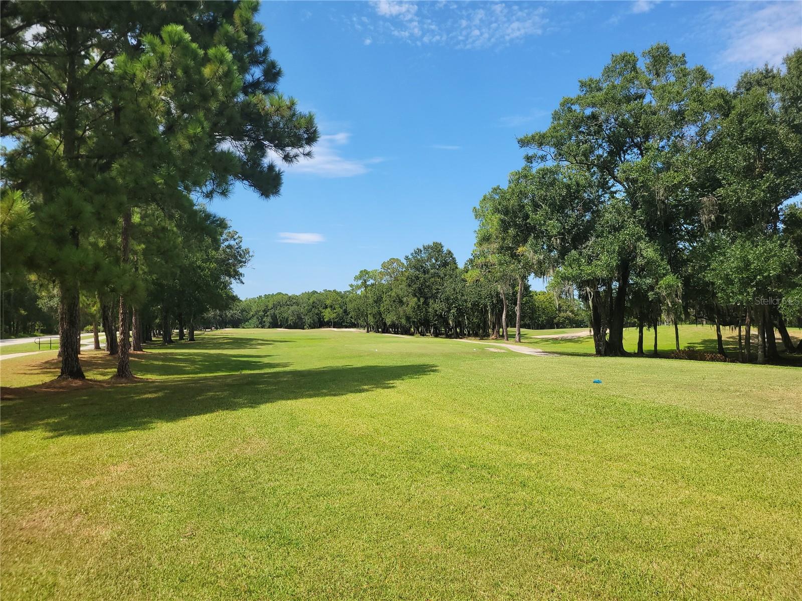 15611 SHOAL CREEK PL