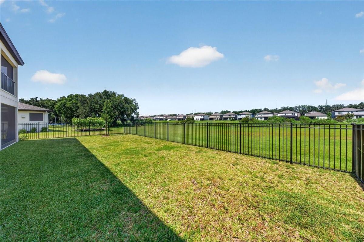 12962 STEED TRACE LOOP
