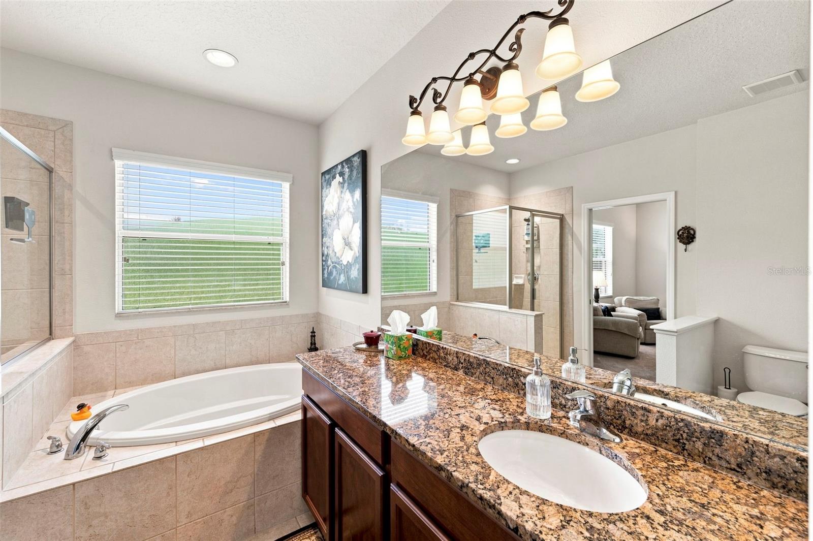 11245 BELLE HAVEN DR