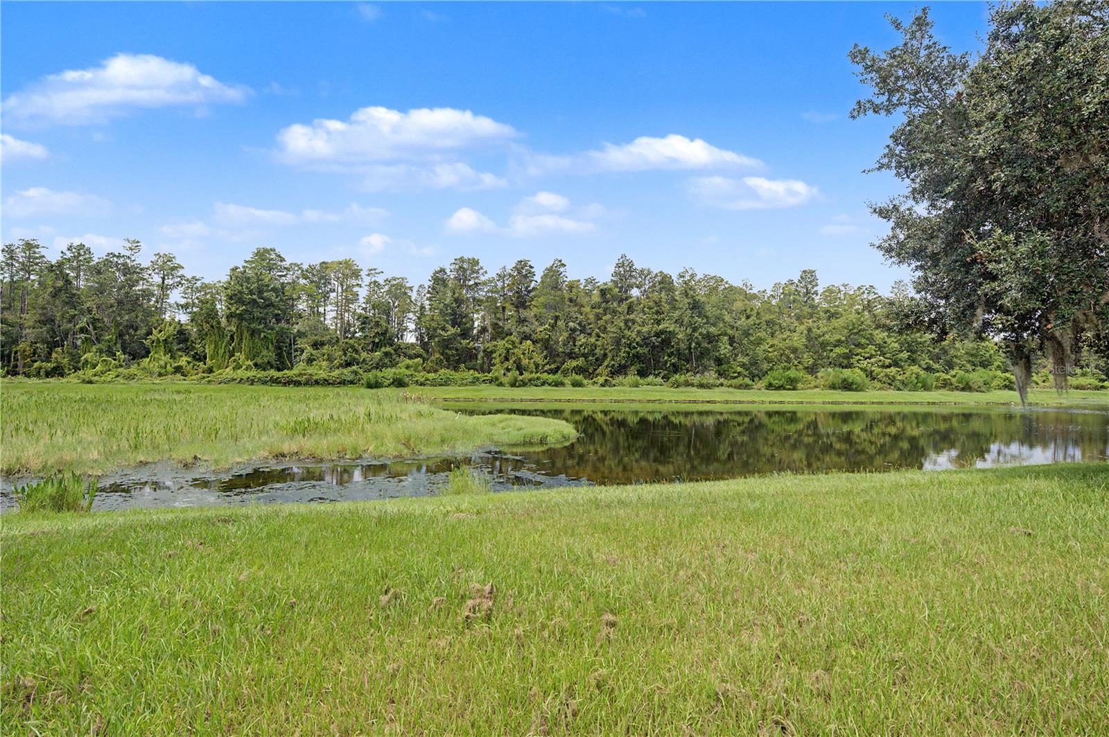 9837 JASMINE BROOK CIR