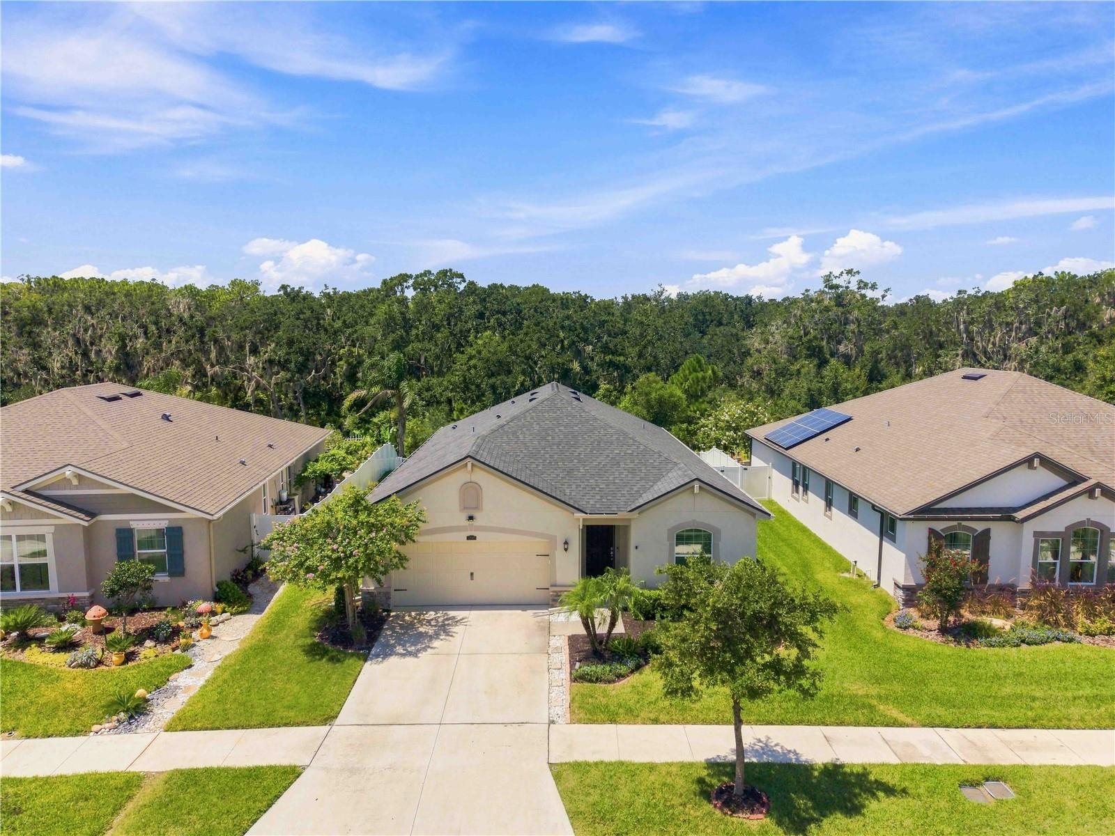12943 SATIN LILY DR