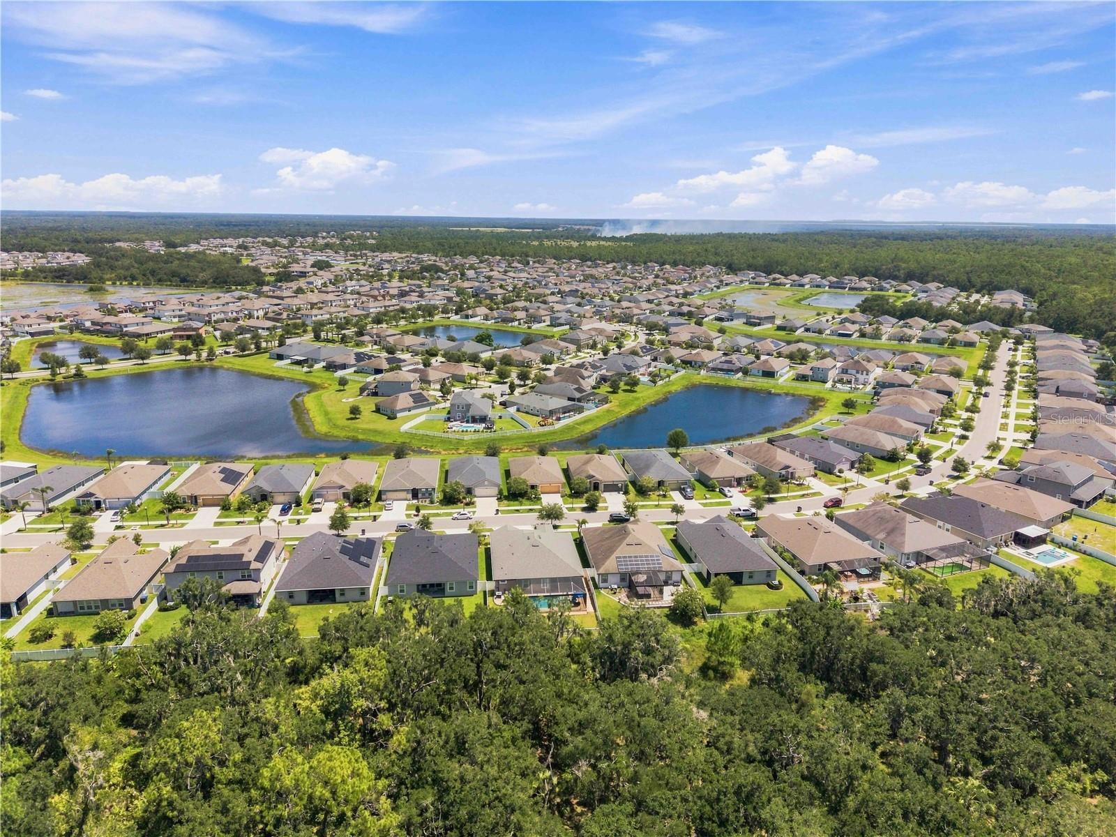 12943 SATIN LILY DR