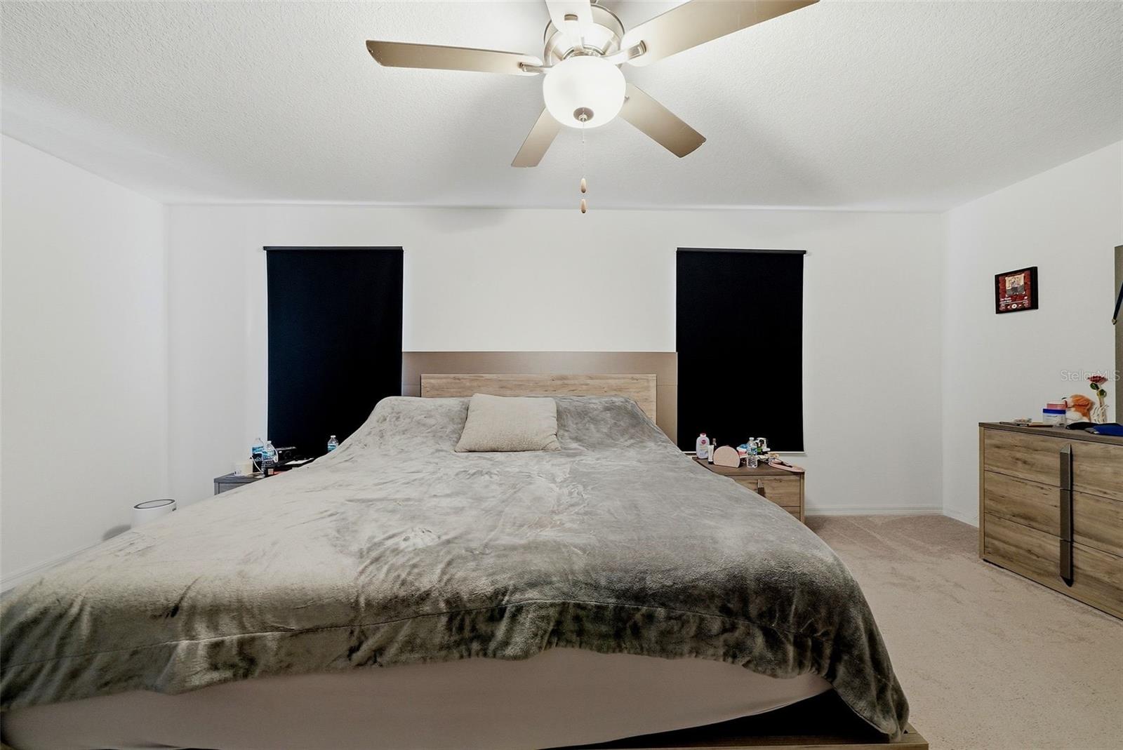 10336 LAVENDER ASTER TRL