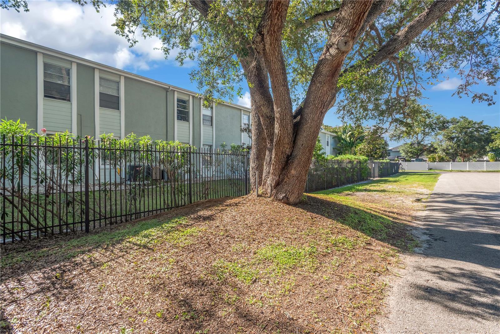 5440 S MACDILL AVE #3C