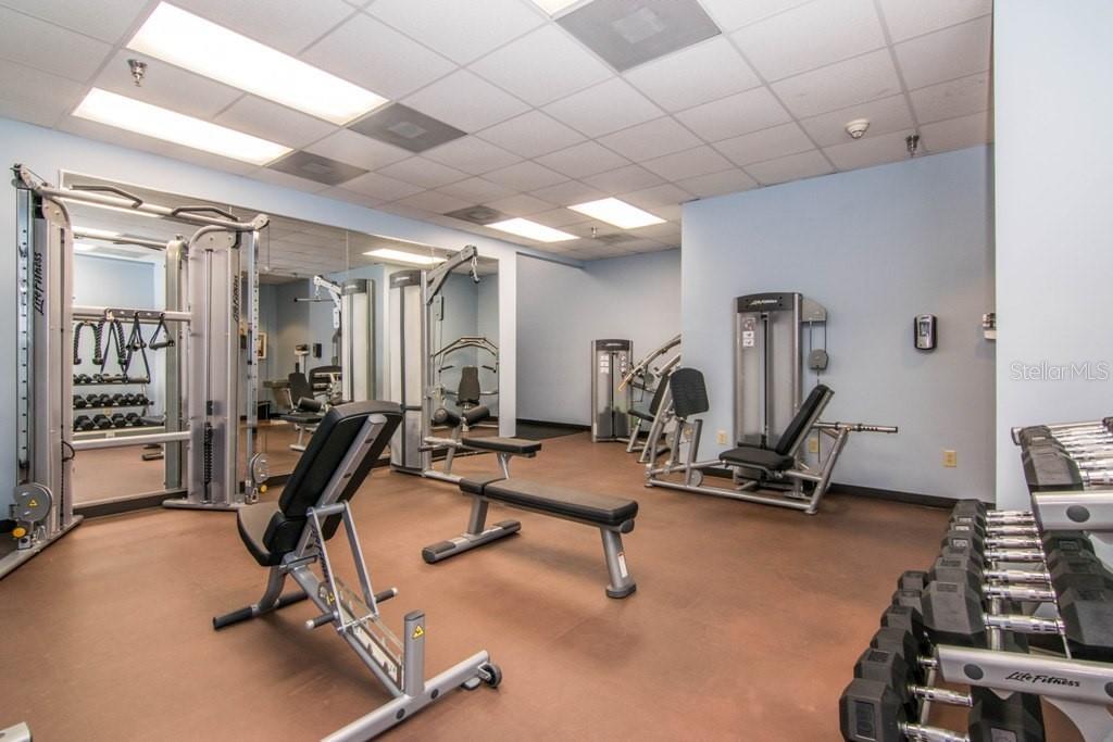345 BAYSHORE BLVD #808