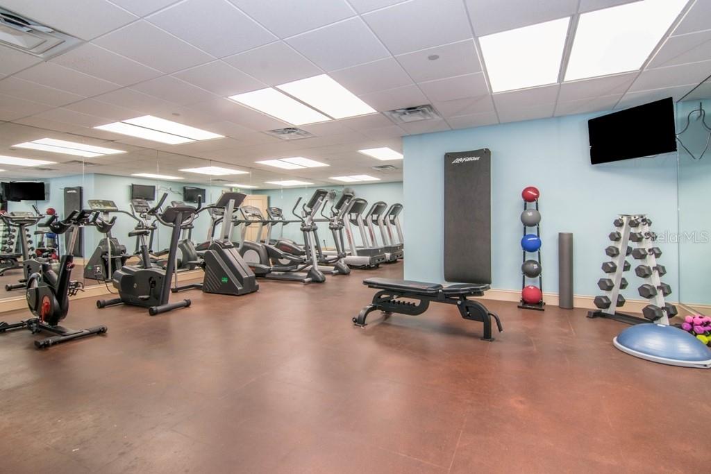 345 BAYSHORE BLVD #808