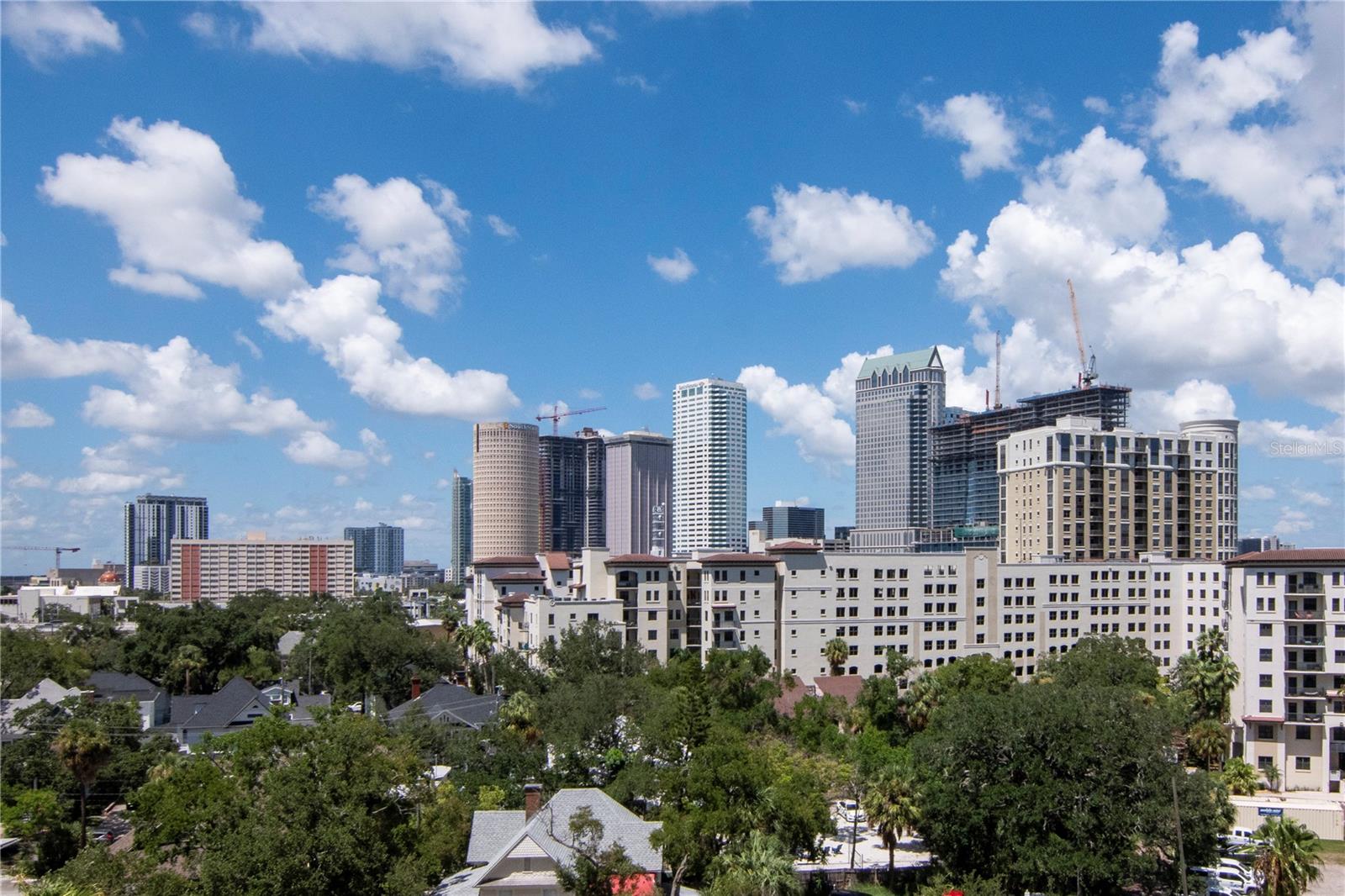 345 BAYSHORE BLVD #808