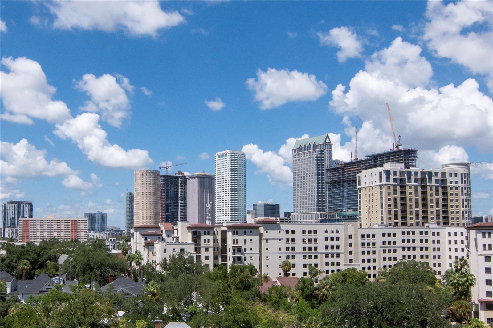 345 BAYSHORE BLVD #808