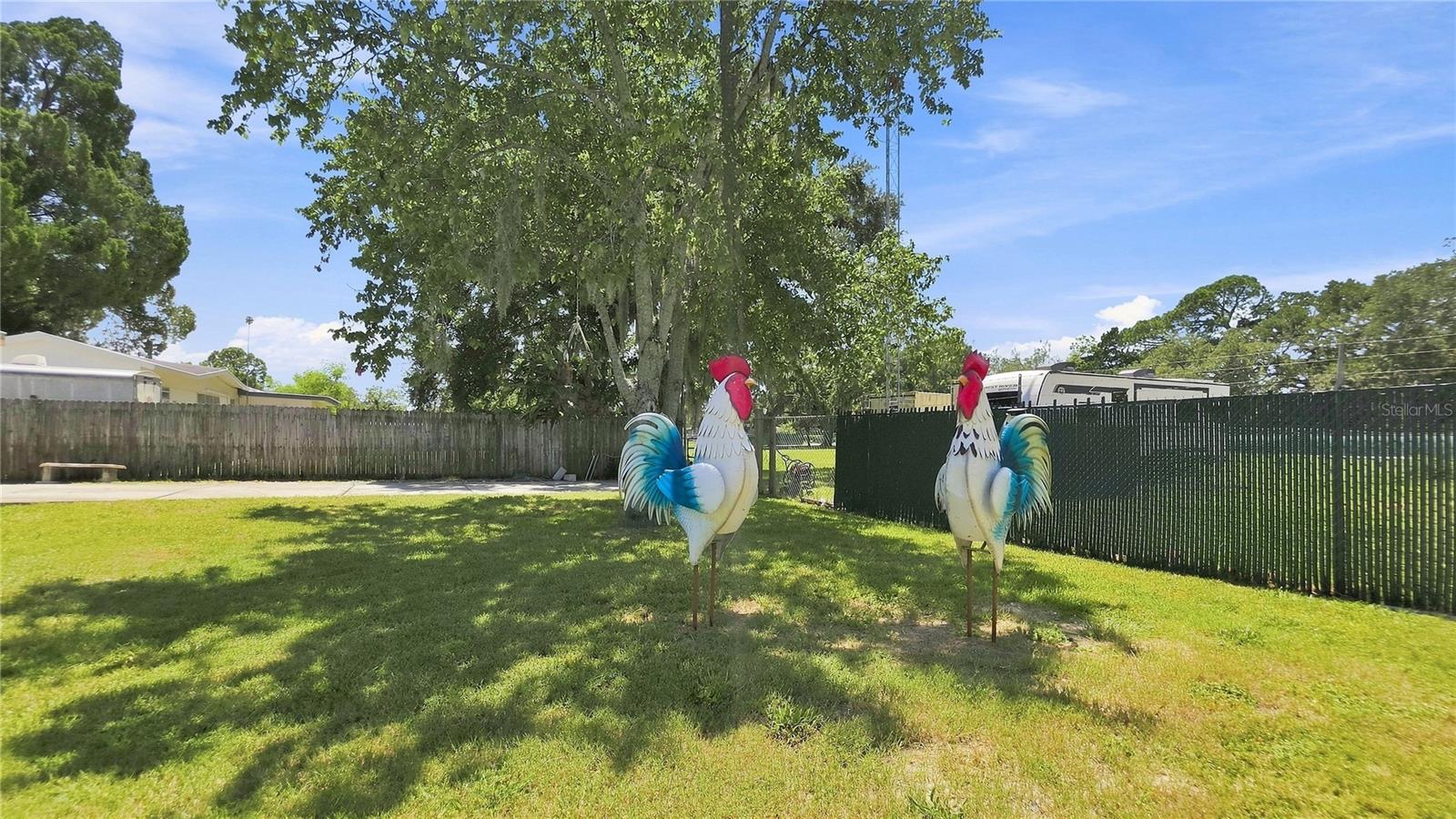 14125 PLUM LN