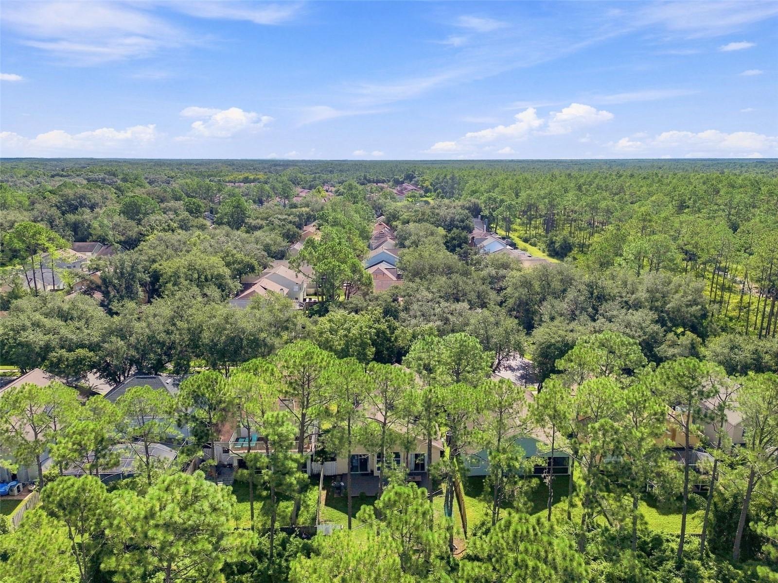 17708 LONG RIDGE RD