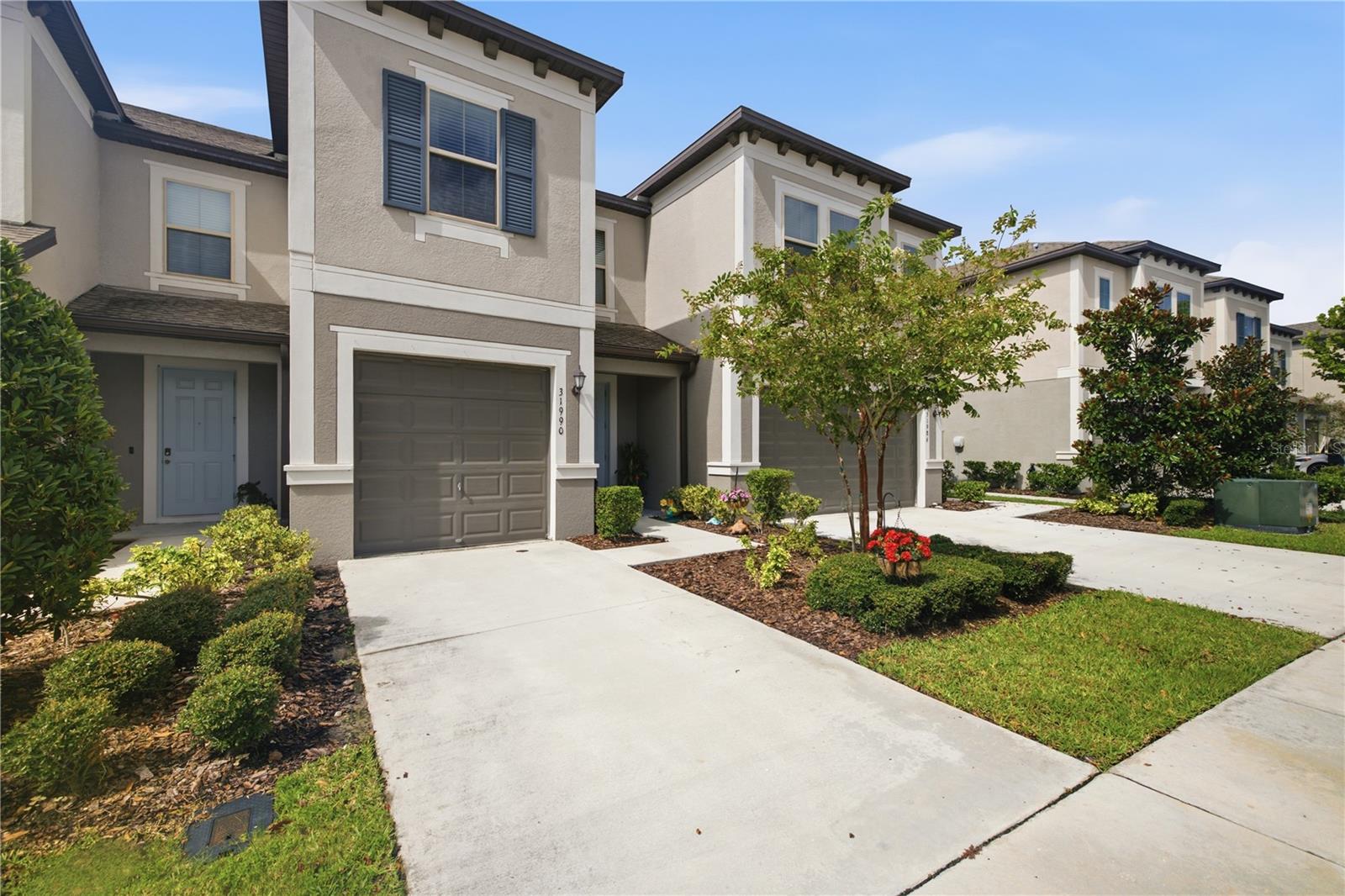 31990 Blue Passing, Wesley Chapel