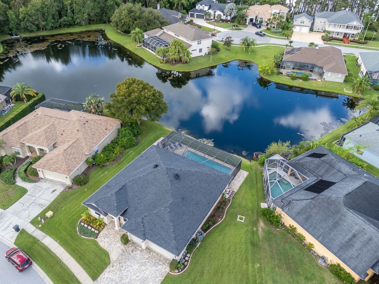 21228 Marsh Hawk Dr, Land O Lakes