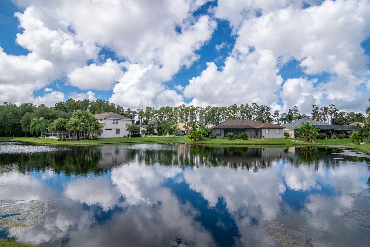 21228 MARSH HAWK DR