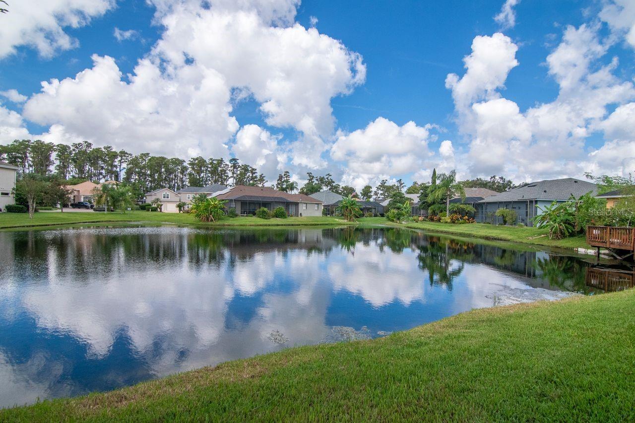 21228 MARSH HAWK DR