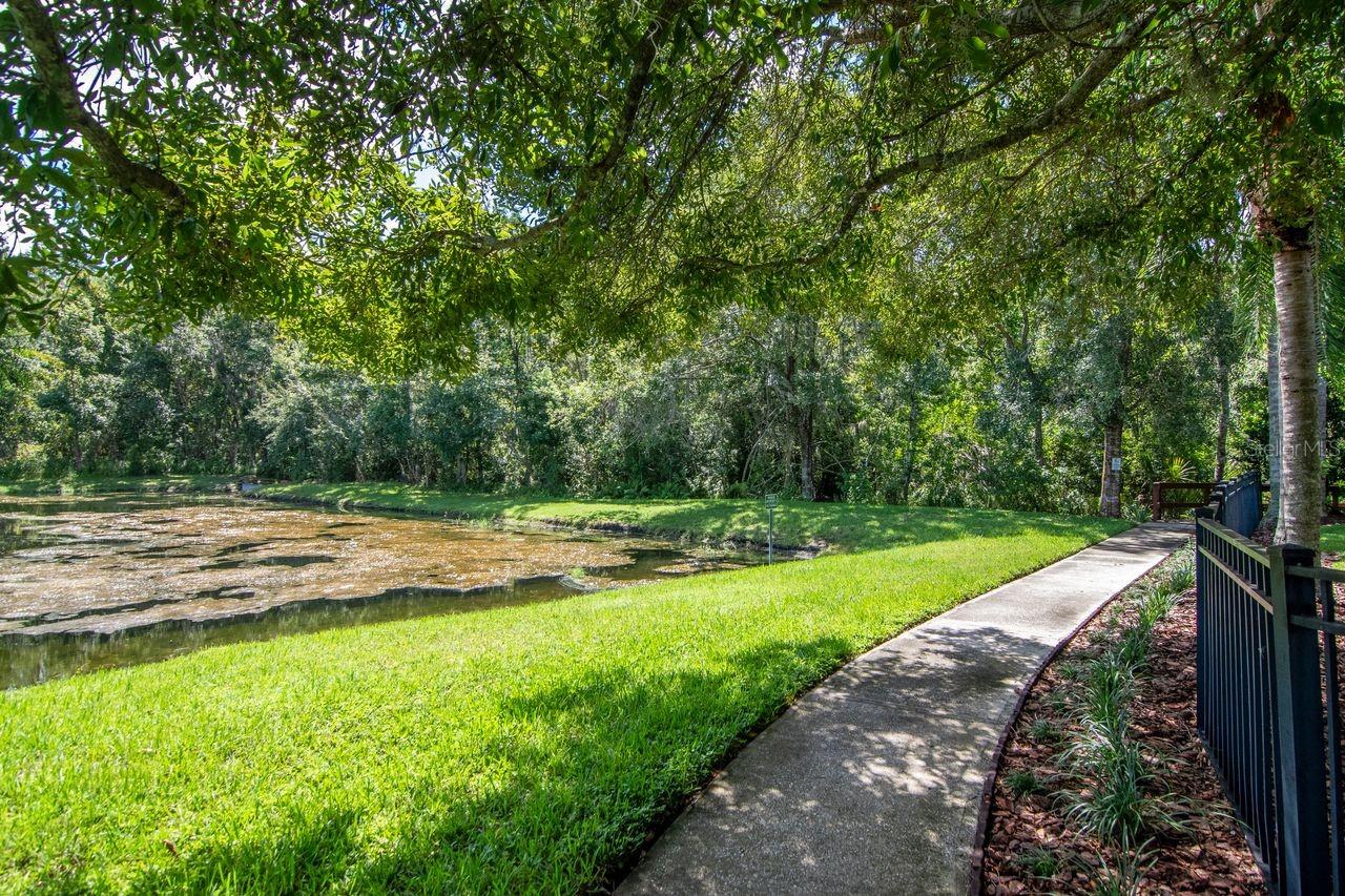 21228 MARSH HAWK DR