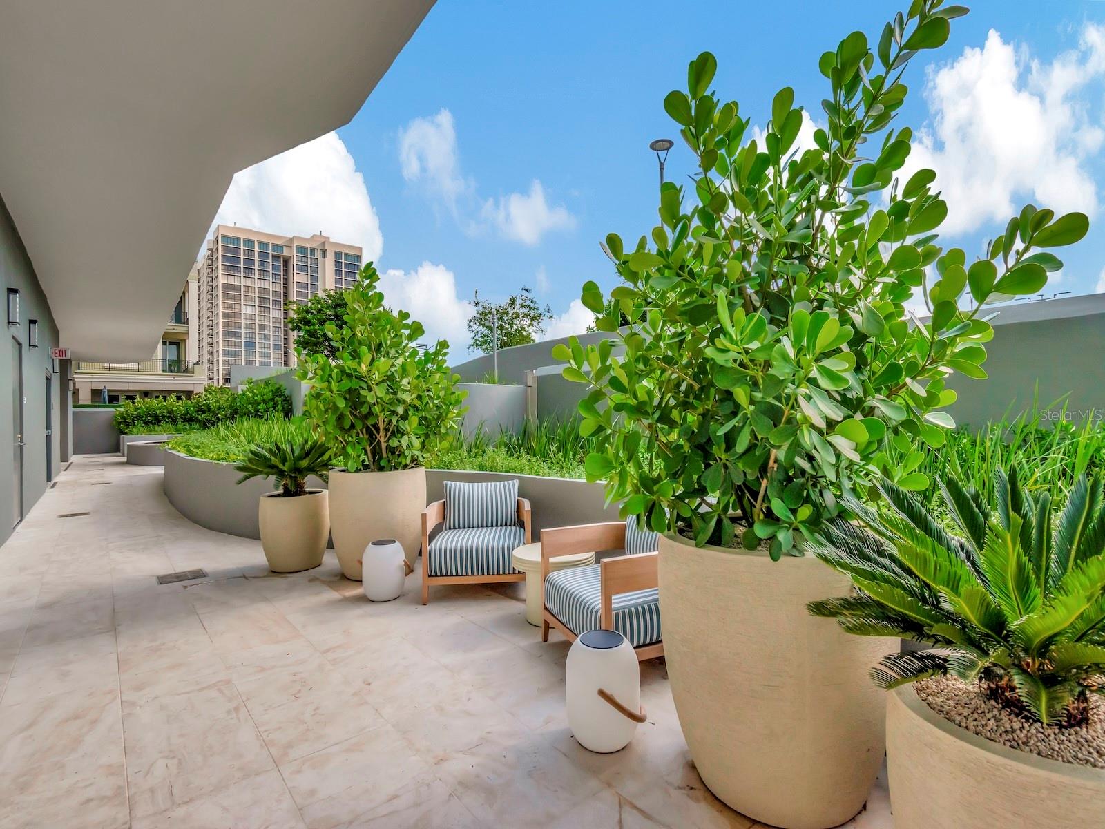 3101 BAYSHORE BLVD #1001